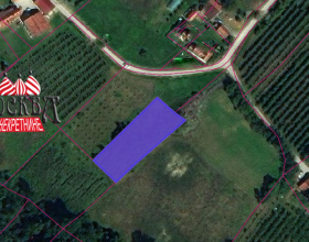 Detaljnije...